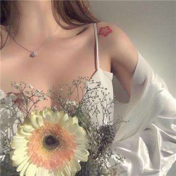 女仆大乱斗内购破解版下载